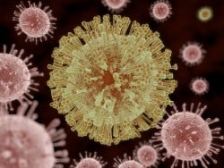 zika